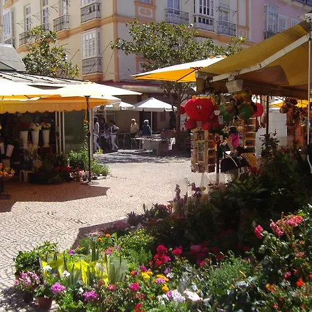 Descubrehome Barrio De La Vina Playa De La Caleta Apartament *